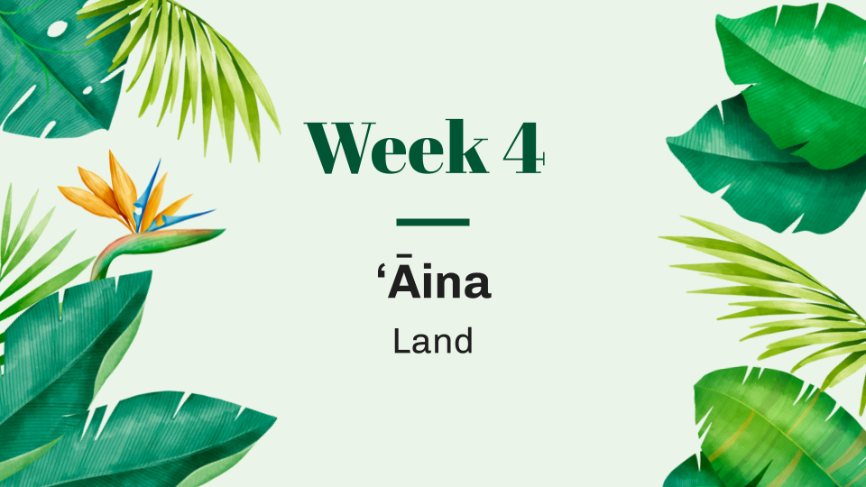 Week 4 ʻĀina